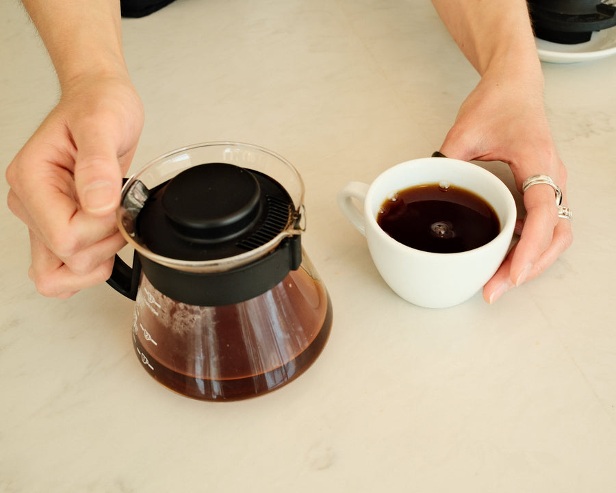 ReAnimator gift subscription coffee